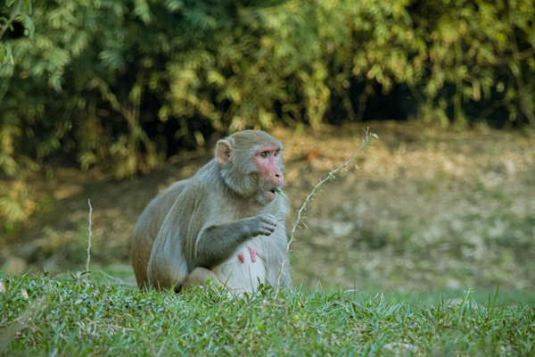 Comment un cabinet de recrutement boost vos talents clés