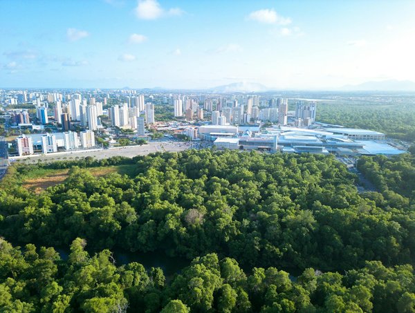 Comment démarrer sa carrière en tant que freelance